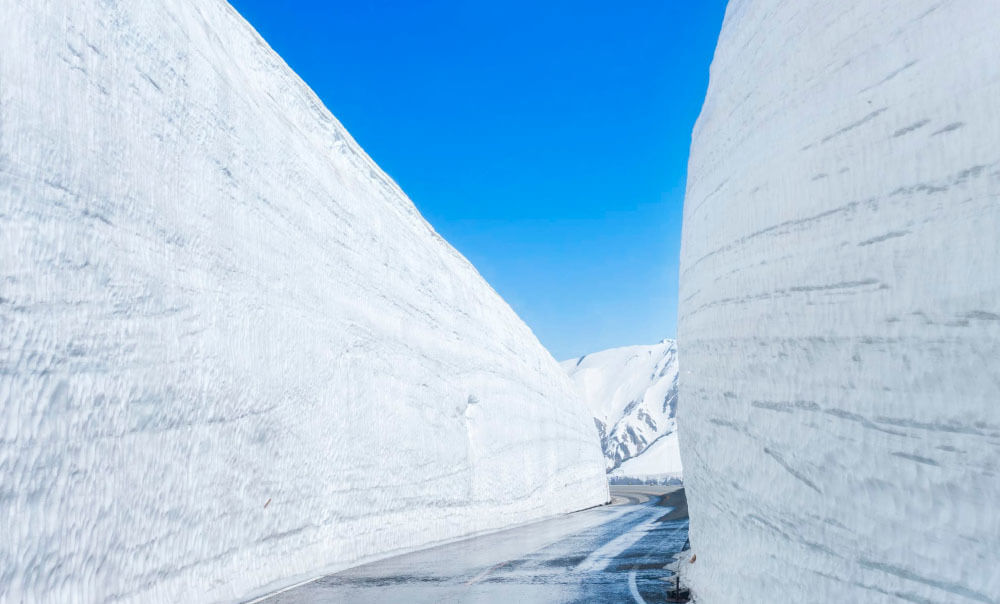 Tường tuyết Tateyama Nhật Bản