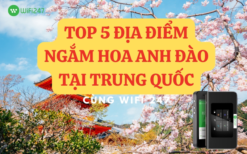 Địa điểm ngắm hoa anh đào Trung Quốc