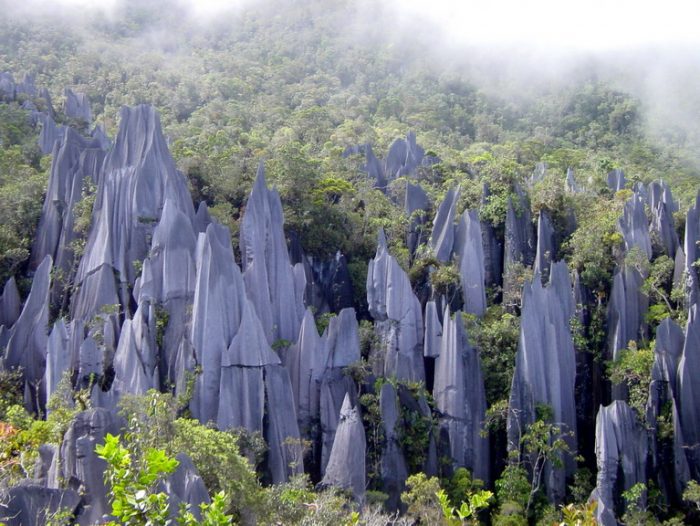 Vườn quốc gia Gunung Mulu