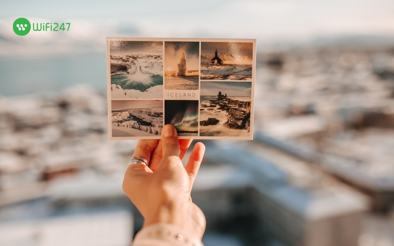 thuê thiết bị wifi